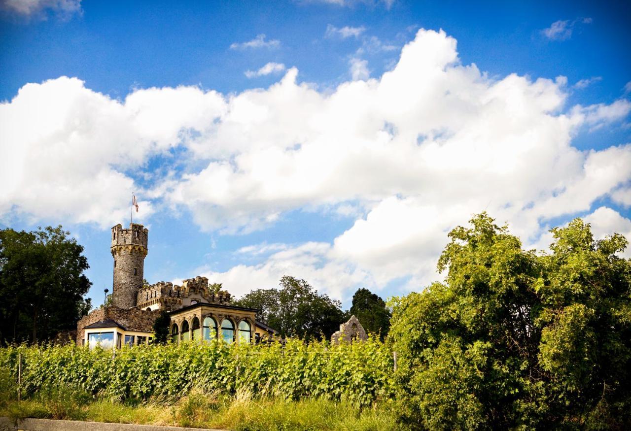 Burg & Gaestehaus By Schwarzenstein Geisenheim Ngoại thất bức ảnh